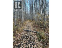 69565 Range Road 65, Grovedale, AB T0H1X0 Photo 46