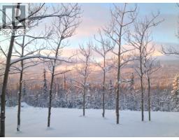 400 Ursa Way, Whitehorse North, YT Y0B1Y2 Photo 61