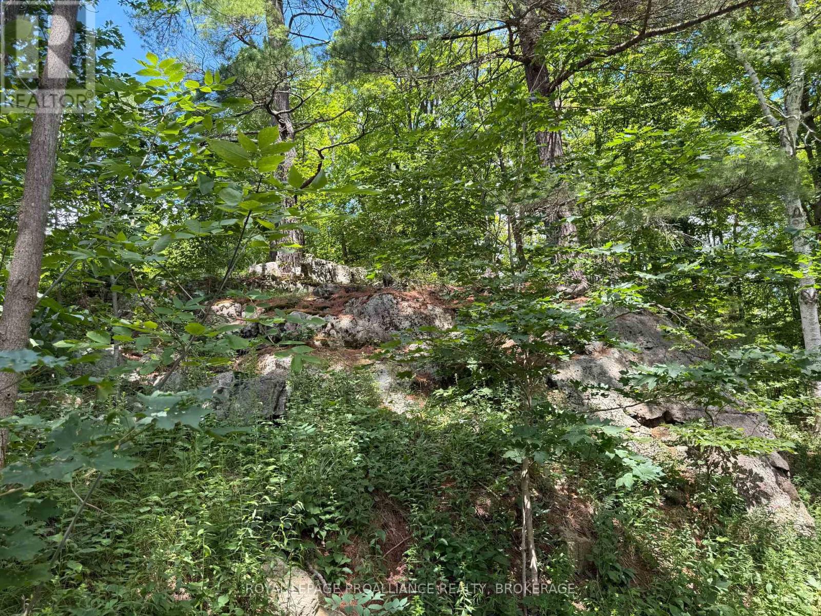1135 TWIN ISLAND LANE - 31
