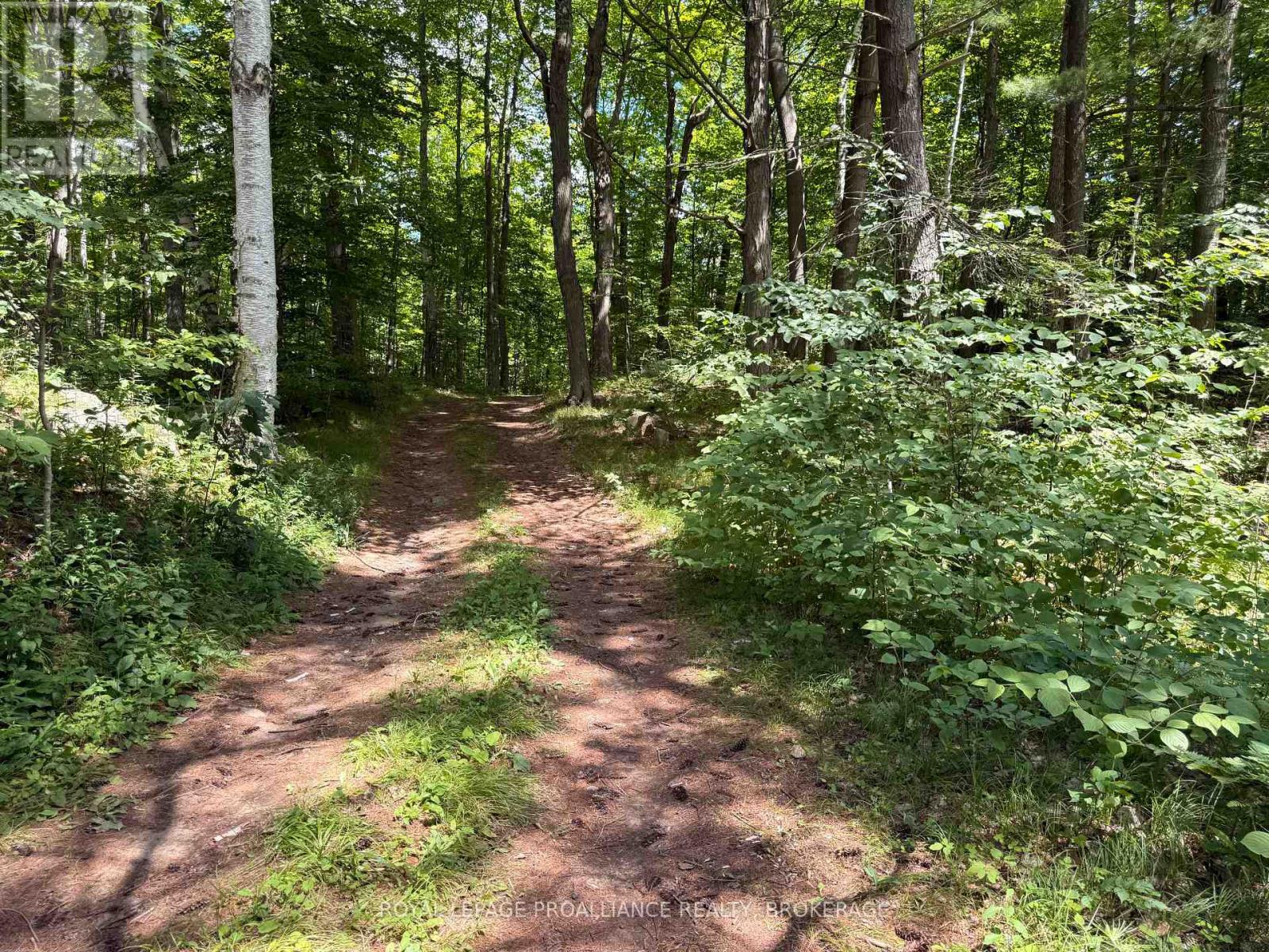 1135 TWIN ISLAND LANE - 32
