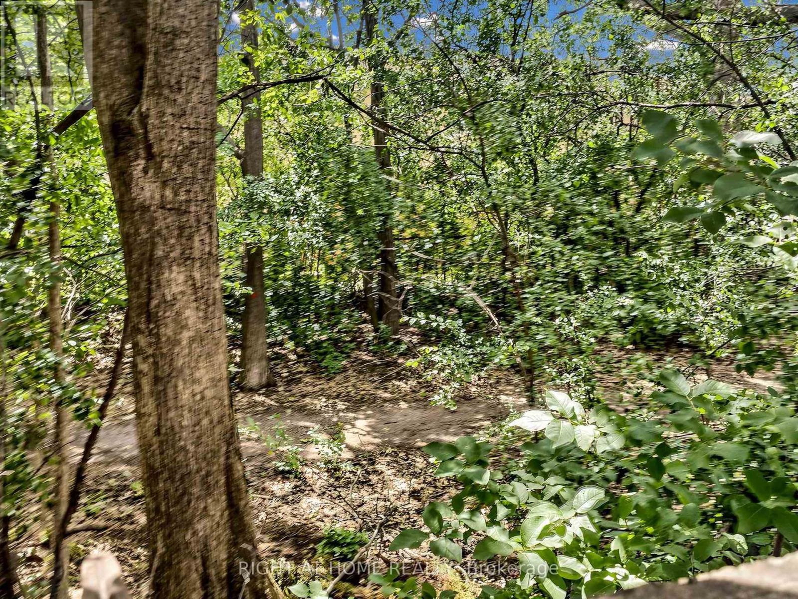 #2 1580 LANCASTER DRIVE - 50