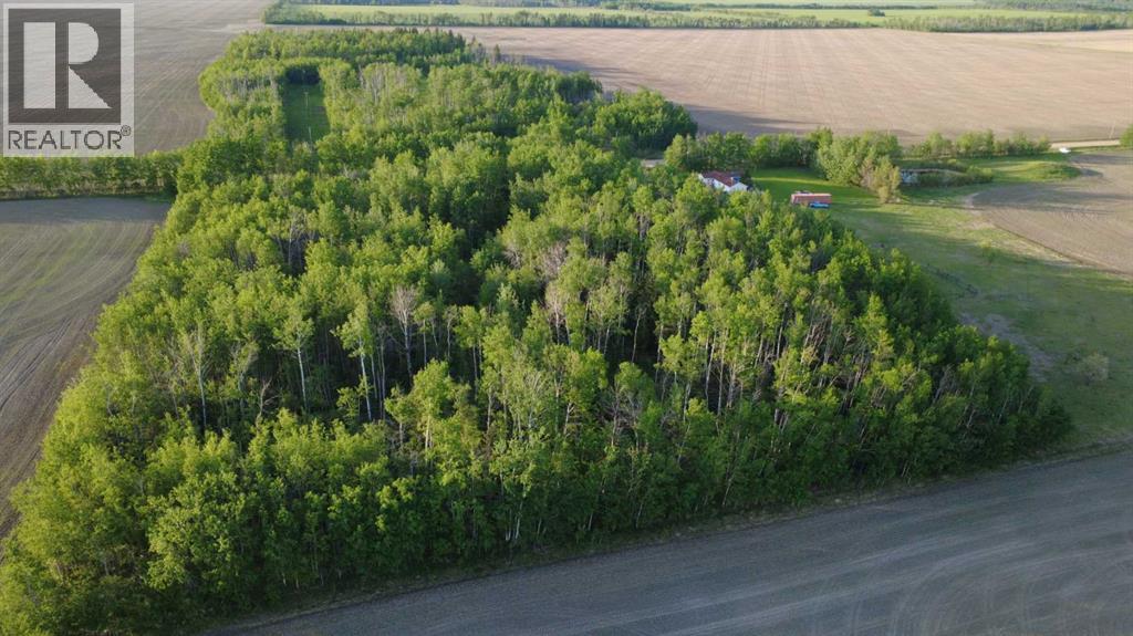 32033 Twp Rd 832 - Photo 10