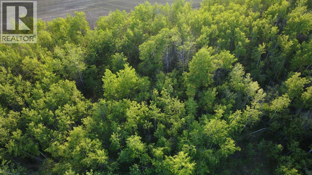 32033 Twp Rd 832 - Photo 12