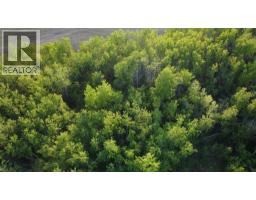32033 Twp Rd 832, Rural Clear Hills County, AB T0H1L0 Photo 12