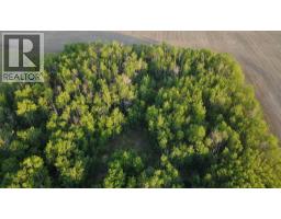 32033 Twp Rd 832, Rural Clear Hills County, AB T0H1L0 Photo 17