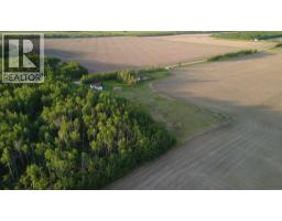 32033 Twp Rd 832, Rural Clear Hills County, AB T0H1L0 Photo 18