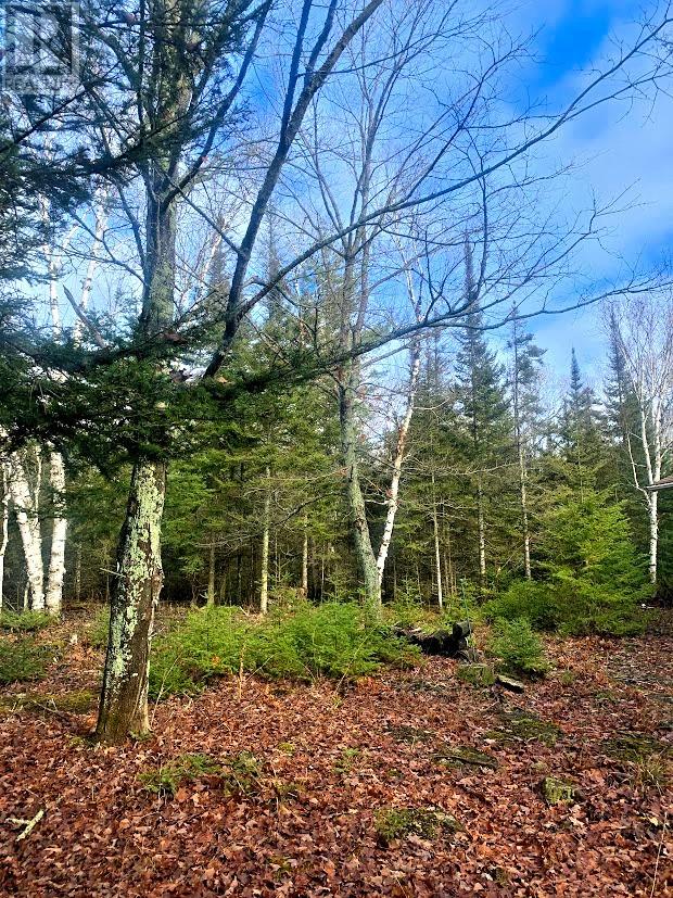 185 Baker Trail - 22