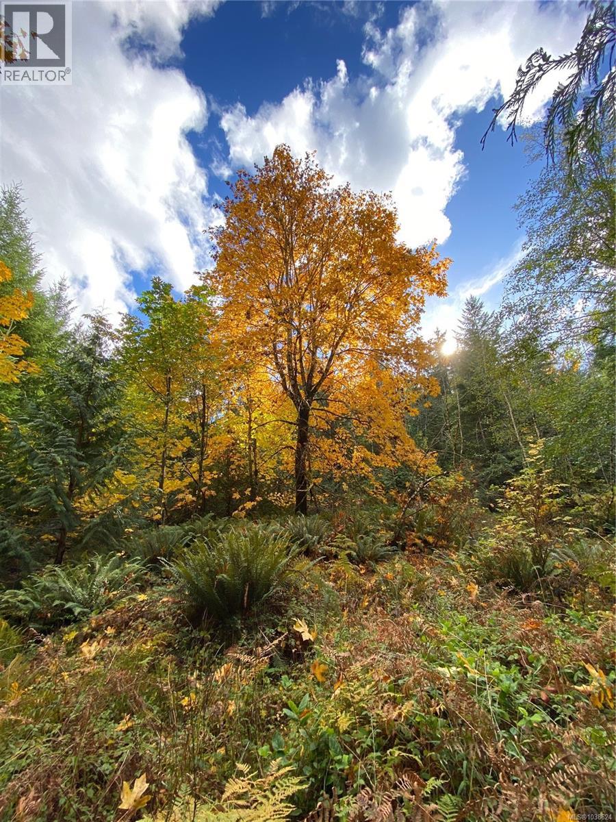 1571 Meadowood Way - 42
