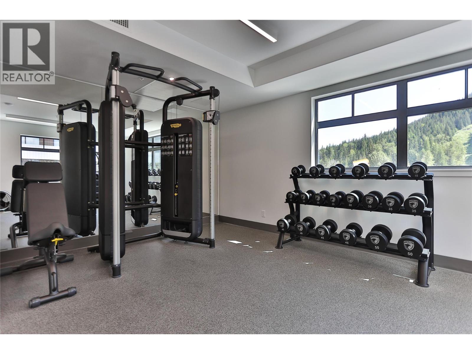 4280 Red Mountain Road Unit# 213, Rossland