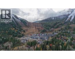 4280 Red Mountain Road Unit# 213, Rossland, BC V0G1Y0 Photo 18