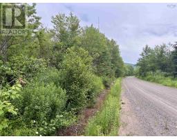 0 Mt.pleasant Big Brook Rd., North East Margaree, NS B0E2H0 Photo 12
