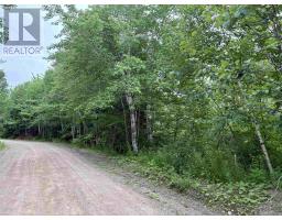 0 Mt.pleasant Big Brook Rd., North East Margaree, NS B0E2H0 Photo 13