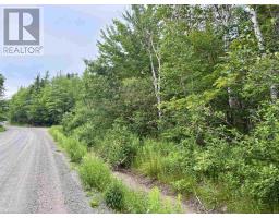 0 Mt.pleasant Big Brook Rd., North East Margaree, NS B0E2H0 Photo 14