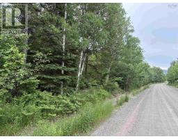 0 Mt.pleasant Big Brook Rd., North East Margaree, NS B0E2H0 Photo 15