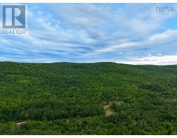0 Mt.pleasant Big Brook Rd., North East Margaree, NS B0E2H0 Photo 6