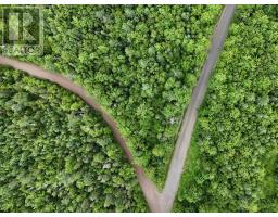 0 Mt.pleasant Big Brook Rd., North East Margaree, NS B0E2H0 Photo 8