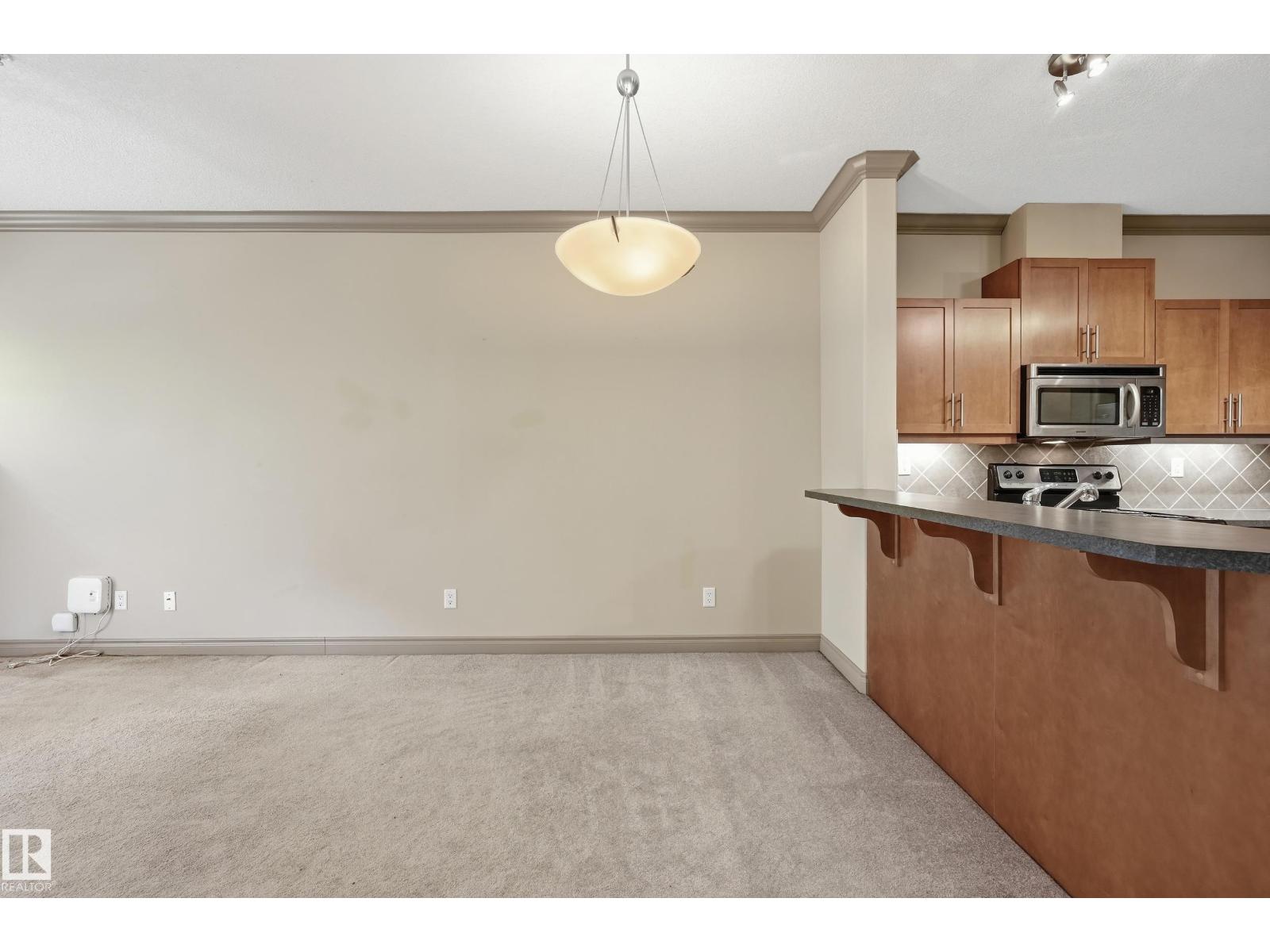 #119 10121 80 AV NW - 11