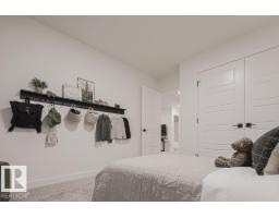 927 17 Av Nw, Edmonton, AB T6T2X2 Photo 33