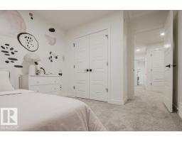 927 17 Av Nw, Edmonton, AB T6T2X2 Photo 30