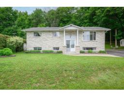 42 Rue De Beaumont, Cantley, QC J8V0V1 Photo 41