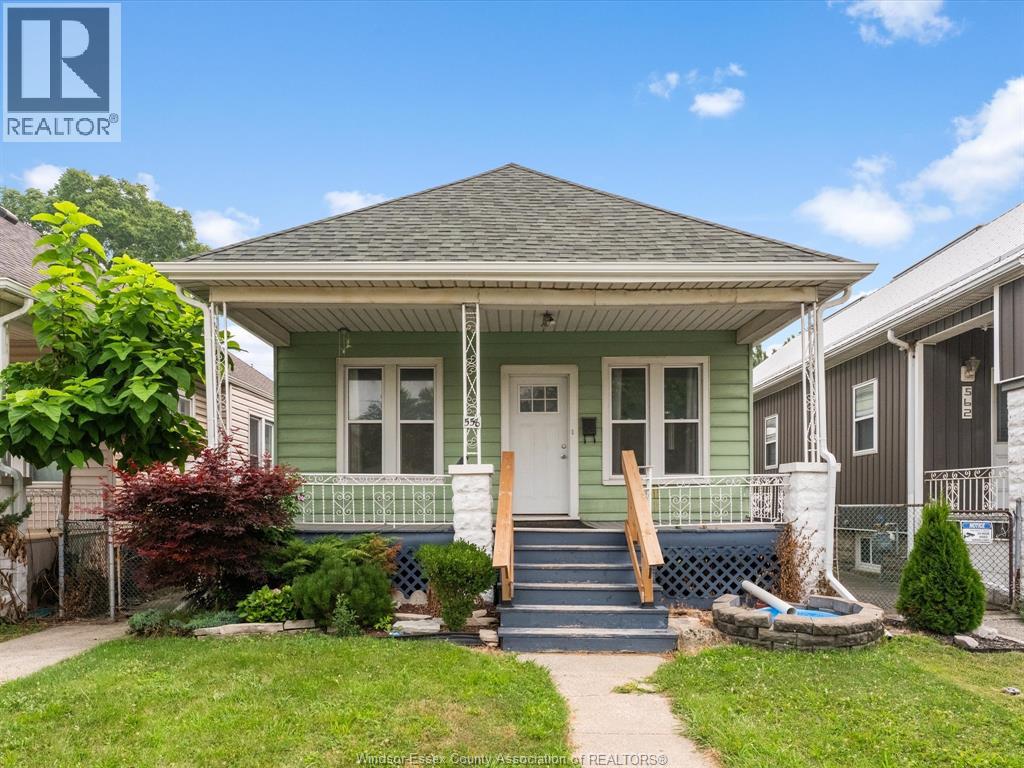 558 ELM - 1