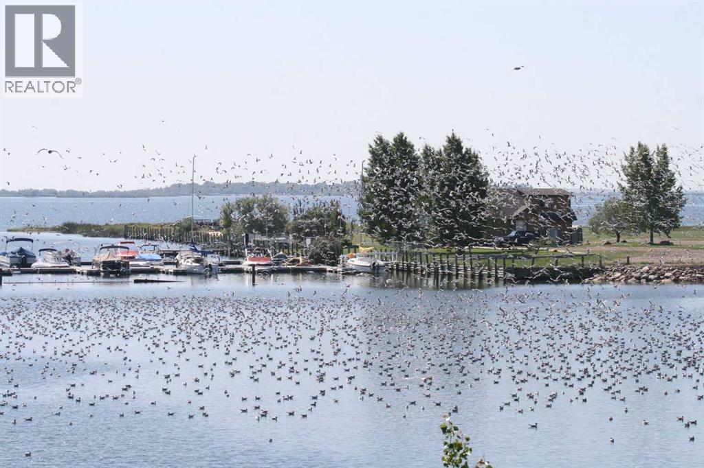 95 white pelican View