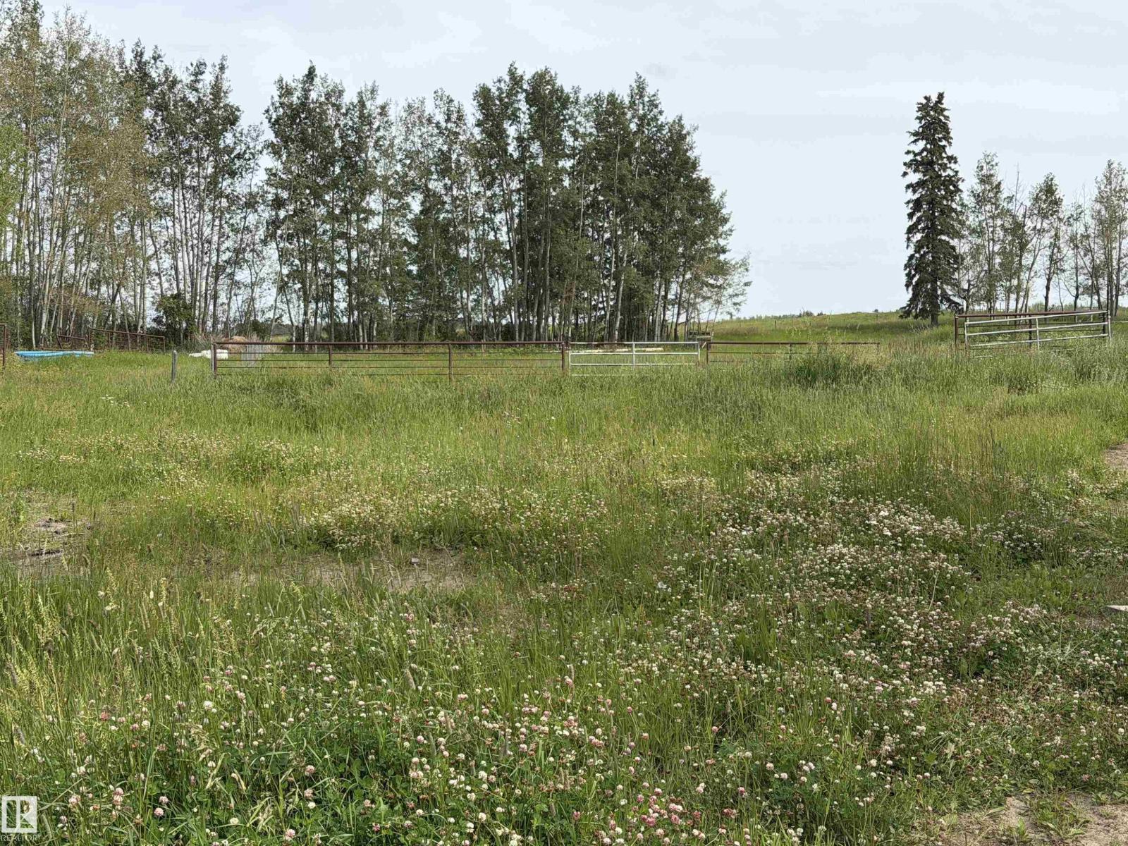 274043 TWP ROAD 480 - Photo 13