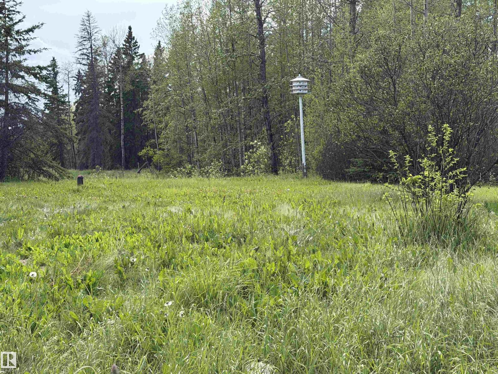 274043 TWP ROAD 480 - Photo 15