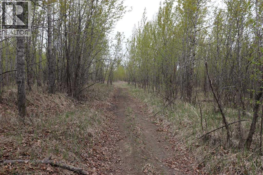 54525 Range Road 142B - 15