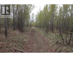 54525 Range Road 142b, Rural Yellowhead County, AB T7E3Z4 Photo 15