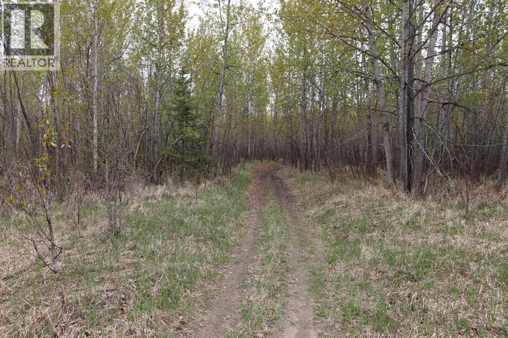 54525 Range Road 142B - 16