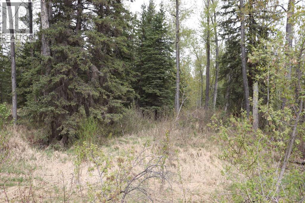 54525 Range Road 142B - 23