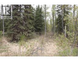 54525 Range Road 142b, Rural Yellowhead County, AB T7E3Z4 Photo 23
