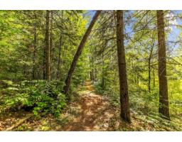 498 Ch. Du Chêne-rouge, Val Des Monts, QC J8N6G1 Photo 41