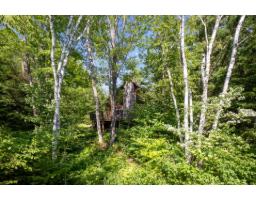 498 Ch. Du Chêne-rouge, Val Des Monts, QC J8N6G1 Photo 44