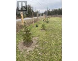 5166 Loggers Way, Ottawa, ON K7S3G7 Photo 15