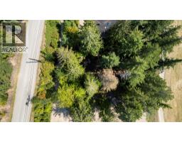 Columbia Drive Lot# 138, Anglemont, BC V0E1M8 Photo 9