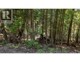 Columbia Drive Lot# 138, Anglemont, BC V0E1M8 Photo 13