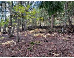Columbia Drive Lot# 138, Anglemont, BC V0E1M8 Photo 7