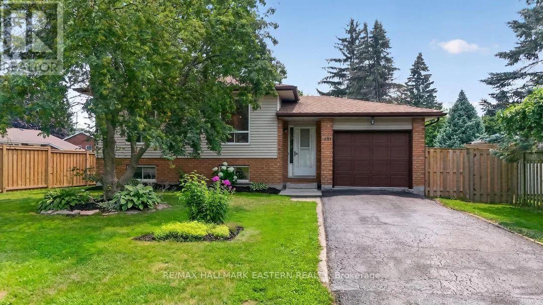 257 WHITE STREET - 1