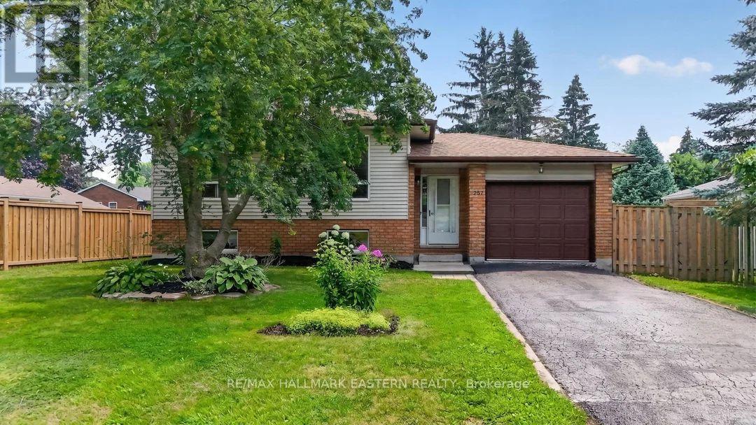 257 WHITE STREET - 27