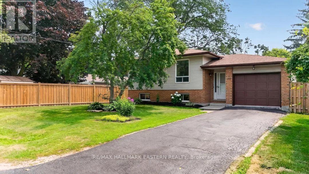 257 WHITE STREET - 38