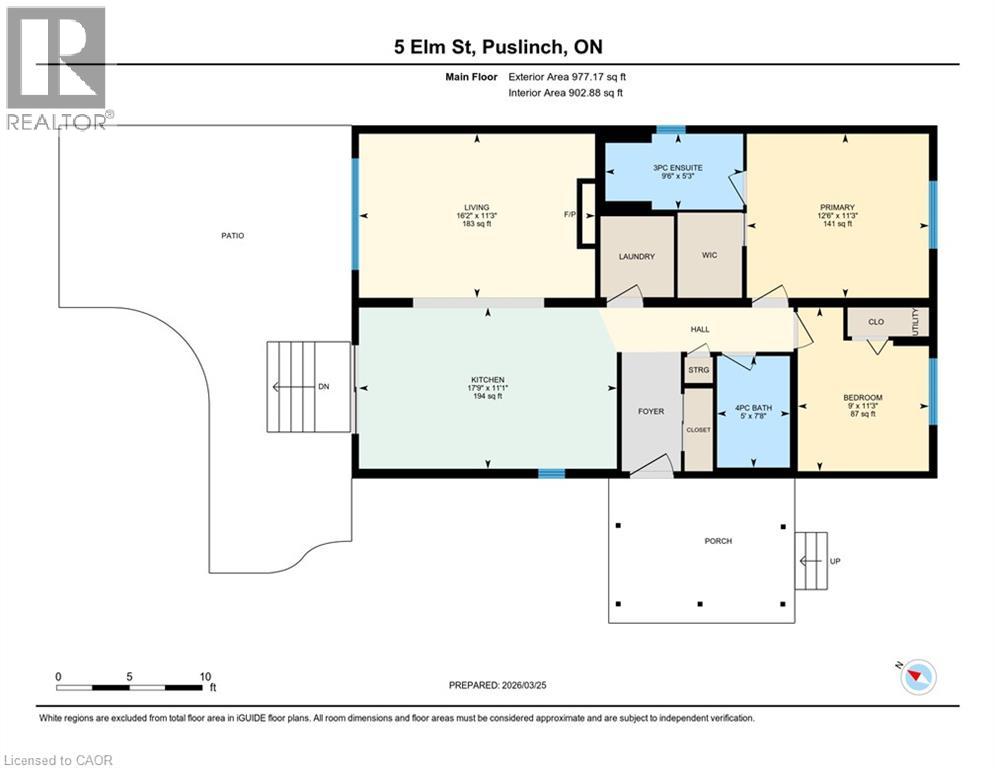 5 ELM Street - 50
