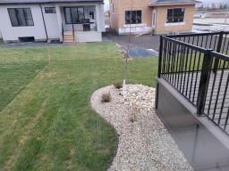 98 Butterfly Way, Winnipeg, MB R3X0T7 Photo 16