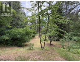 2186 Crestview Crescent, Castlegar, BC V1N3B3 Photo 43