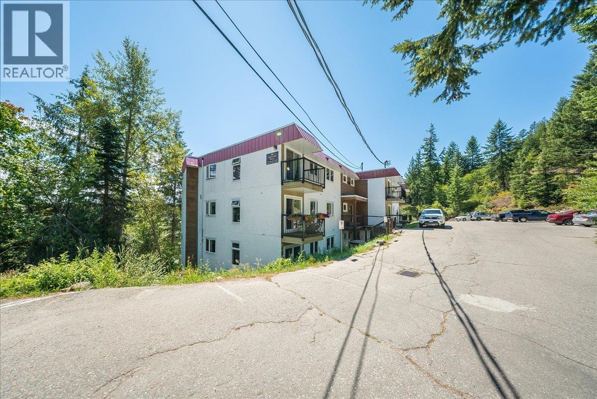 #202 1510 Nickleplate Road - 31