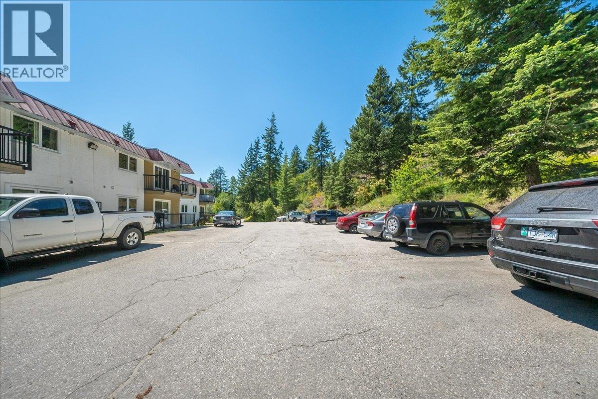#202 1510 Nickleplate Road - 32