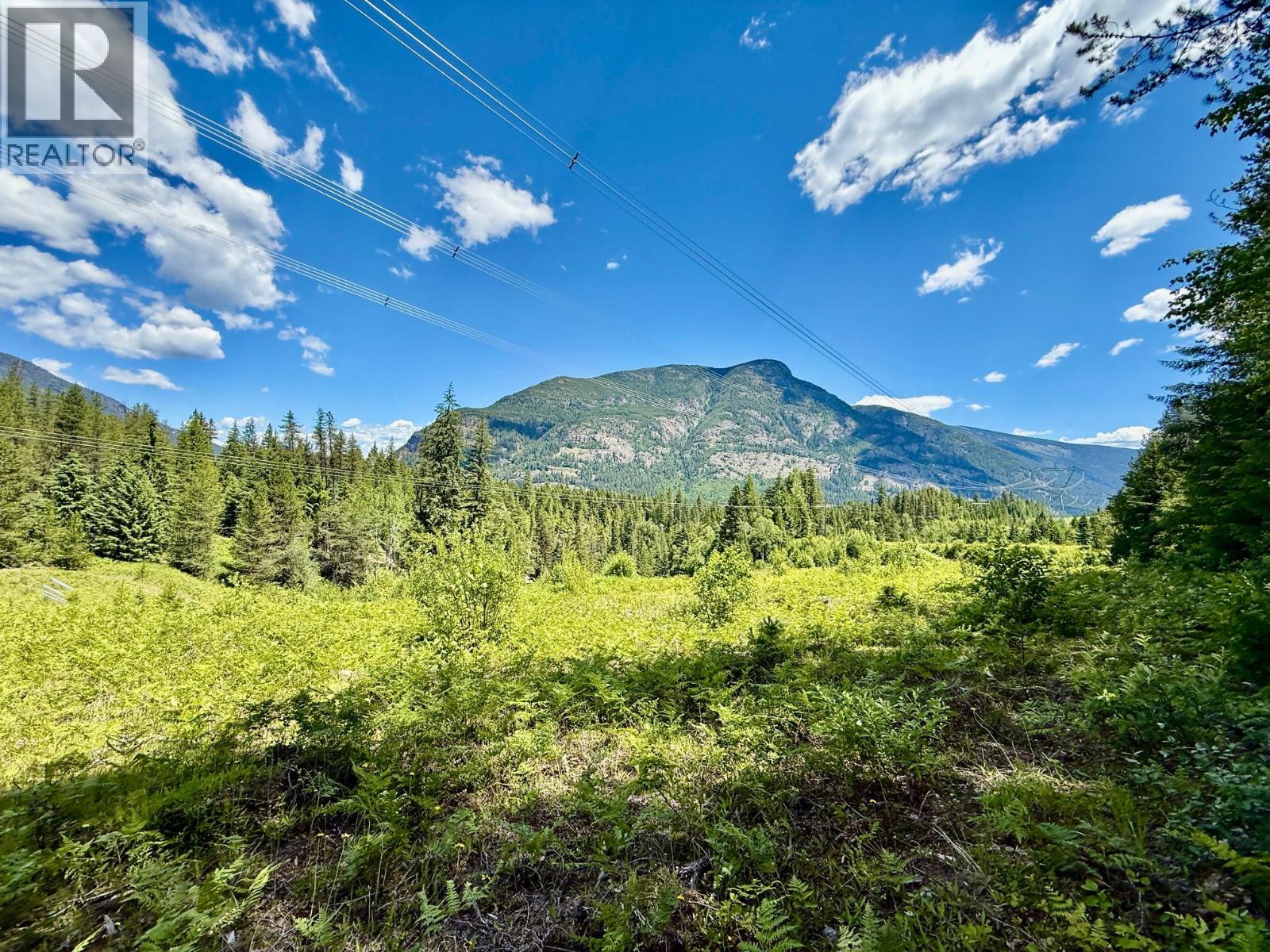 4019 Saunders Road - 33