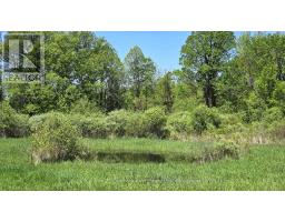 2147 Marlbank Road, Tweed), ON K0K3J0 Photo 48