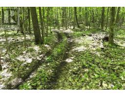 2147 Marlbank Road, Tweed), ON K0K3J0 Photo 49